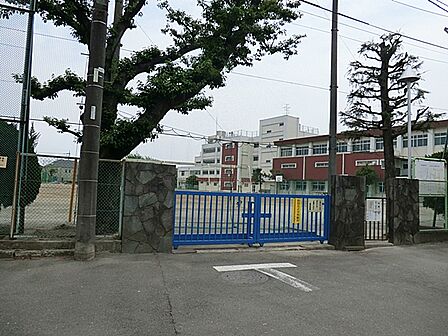 小金井市立緑中学校 1.1km