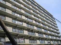 ステイツ野村向洋