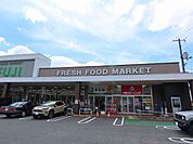 スーパー（フジ白島店まで569ｍ） 