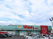 ドラッグストア（ウオンツ観音店まで1145m）