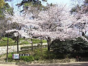 兵庫県西宮市西田町（賃貸マンション2LDK・1階・50.00㎡） その18