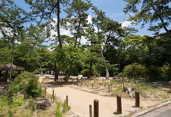 画像13:【公園】広田山公園まで677ｍ