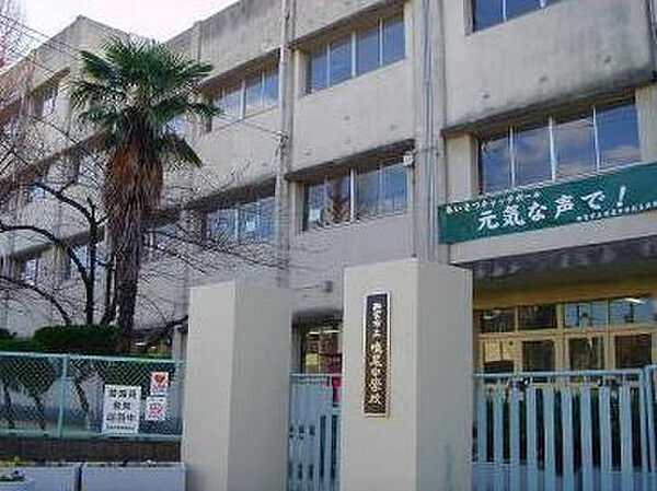 画像23:鳴尾中学校