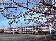 平塚市立真土小学校 徒歩13分。 1010m