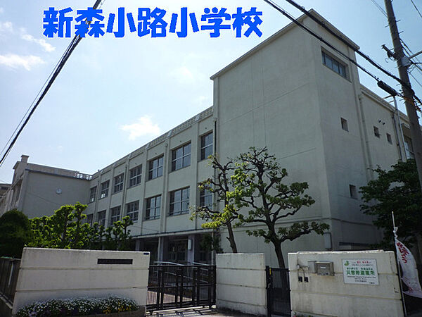 周辺を拡大表示