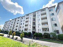 物件画像 藤阪ハイツD6棟