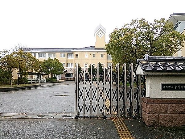 周辺を拡大表示