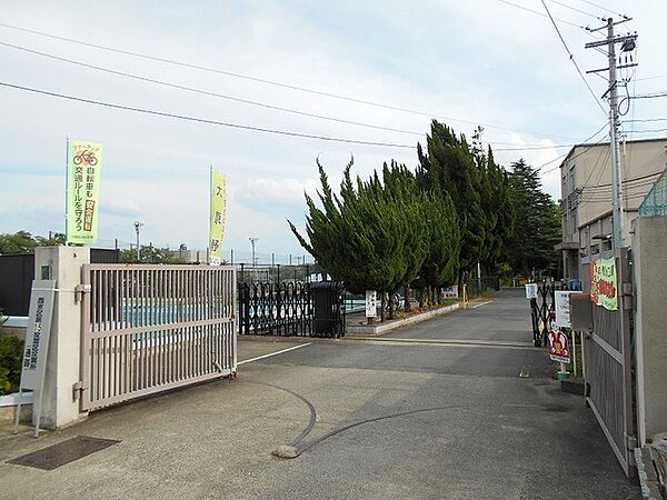 Beautiful mountainous landscape with colorful sky