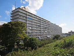 物件画像 枚方淀川公園スカイハイツ