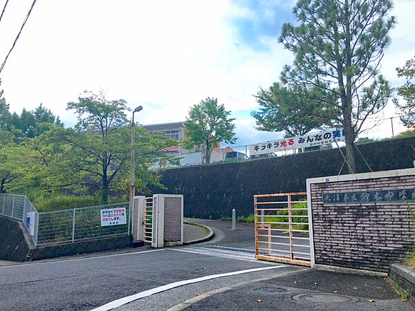 Beautiful mountainous landscape with colorful sky