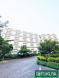 物件画像 近鉄南港ガーデンハイツ24号棟