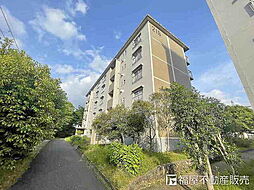 物件画像 男山第3住宅216棟