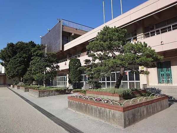 周辺を拡大表示