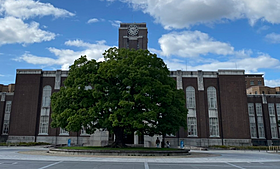 ハイツ銀華 101 ｜ 京都府京都市左京区浄土寺南田町152（賃貸アパート1K・1階・20.46㎡） その30