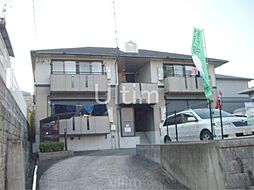 ハイカムール八科