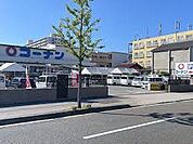 ホームセンターコーナンかどの四条外大前店（1229m）