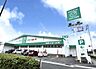 周辺：ザグザグ松縄店：徒歩11分（870ｍ） 