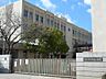 その他：高松市立中央小学校：徒歩3分（240ｍ）