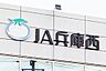 周辺：【銀行】JA兵庫西　英賀保支店まで693ｍ