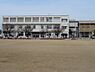 周辺：【小学校】津田小学校まで790ｍ