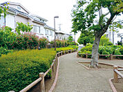 石神こぶし緑地（460m）