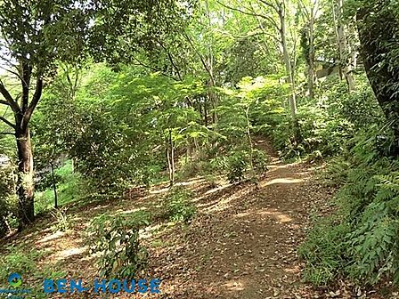 白幡公園 徒歩4分。四季の移ろいを感じる緑豊かな住環境です。 250m