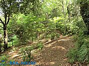 白幡公園 徒歩4分。四季の移ろいを感じる緑豊かな住環境です。 250m