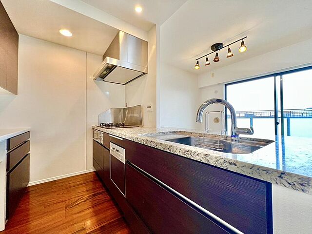 キッチン ザ・ライオンズ武蔵国分寺公園 3階/-