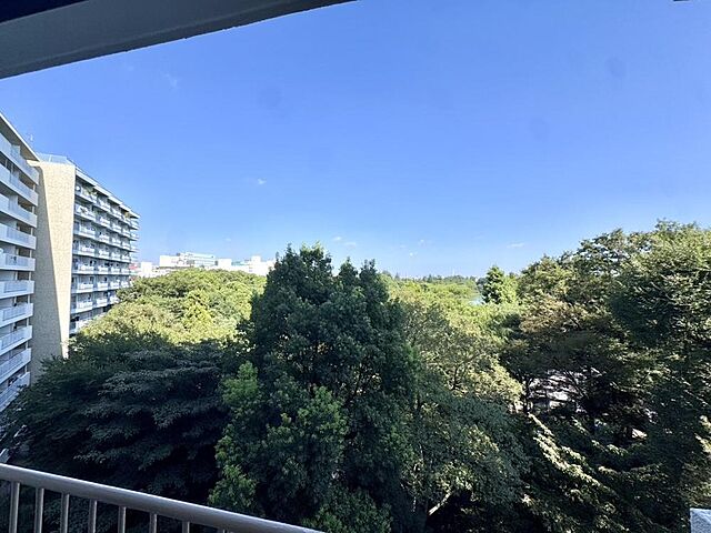 バルコニー 井の頭第2パークサイドマンション 7階/-
