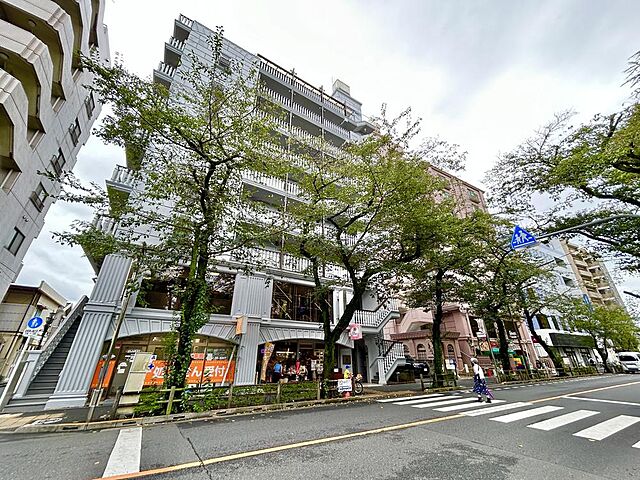外観 ダイアパレス武蔵境 3階/-