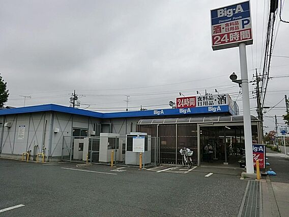 ビッグ・エー東...