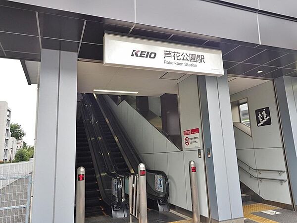 周辺を拡大表示