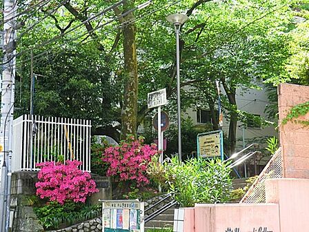 神泉児童遊園地まで約320m