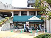 マルエツ所沢御幸町店 368m