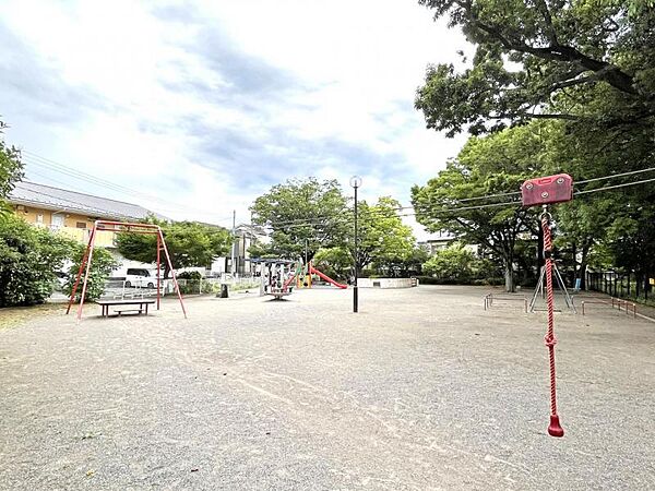 周辺を拡大表示
