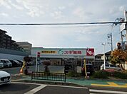 スギ薬局 尼崎西立花店（340m）
