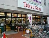 東急ストア武蔵小山駅ビル店 274m