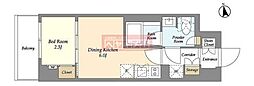 アイフラット品川戸越パークサイド 1DKの間取図画像
