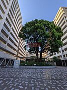 外観／同建物参考写真