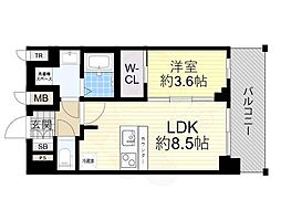 プレサンス九条グランデリーヴ 11階/-