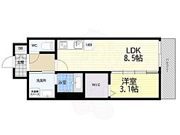 Alivis九条 11階/-