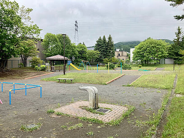 その他を拡大表示