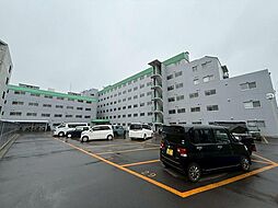 エバーグリーン琴似