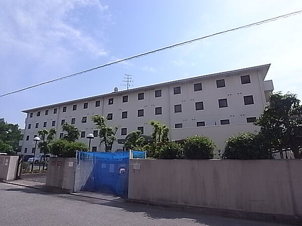 シェルフブラン南甲子園 413｜兵庫県西宮市今津巽町(賃貸マンション1R・4階・20.40㎡)の写真 その1