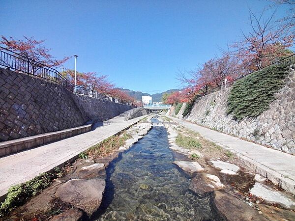 画像8:都賀川公園
