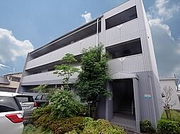 ヴェルドミール　ステラ