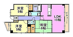 シティプラザ甲南山手 5階/501