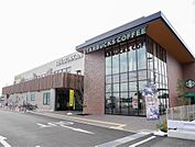 スターバックスコーヒー(550m)