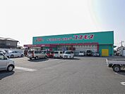 ディスカウントドラッグコスモス開成店(240m)