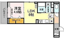 セレスティア亀有 1階1LDKの間取り